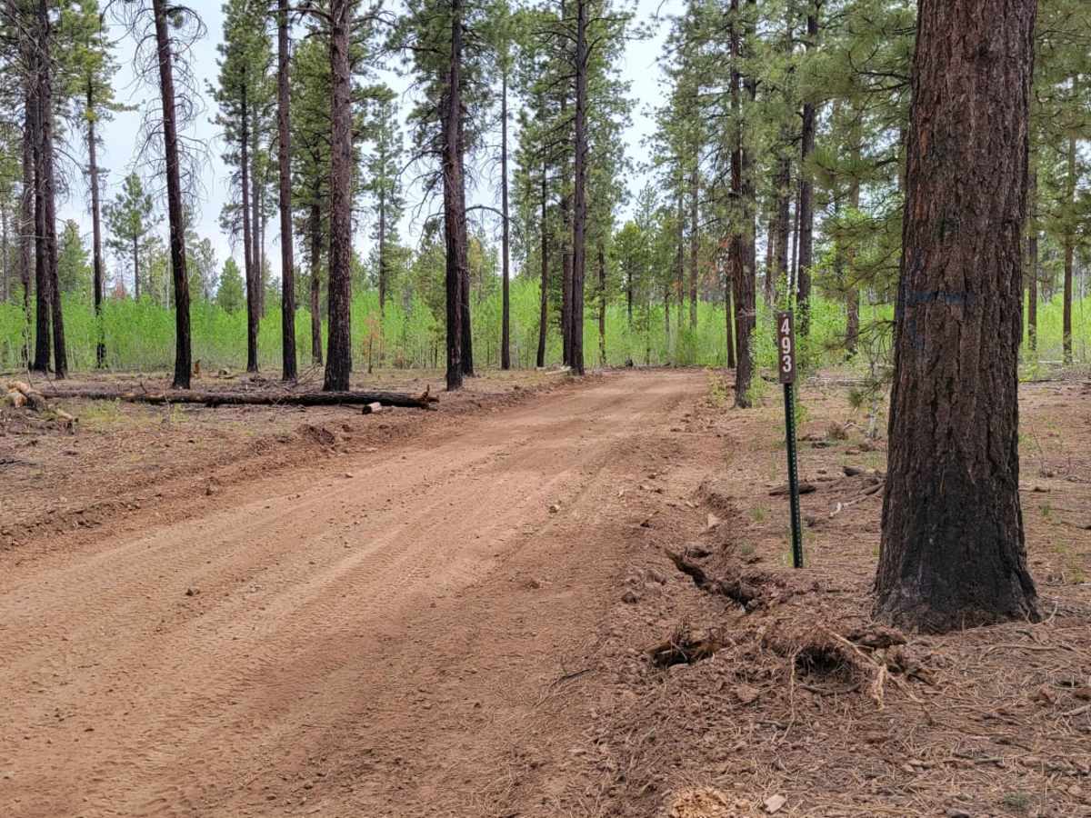 Henrie Connector trail photo