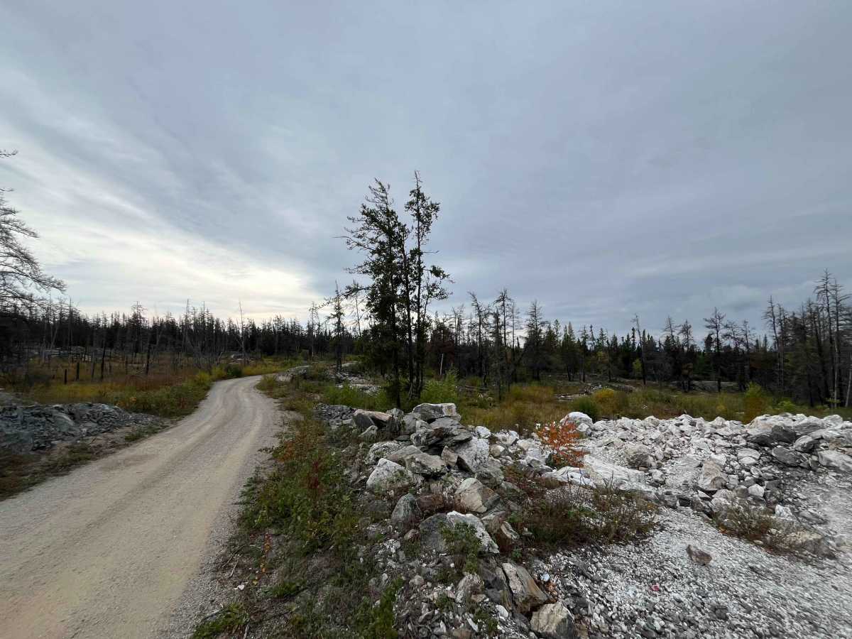 Quesnel Lake Road photo 4