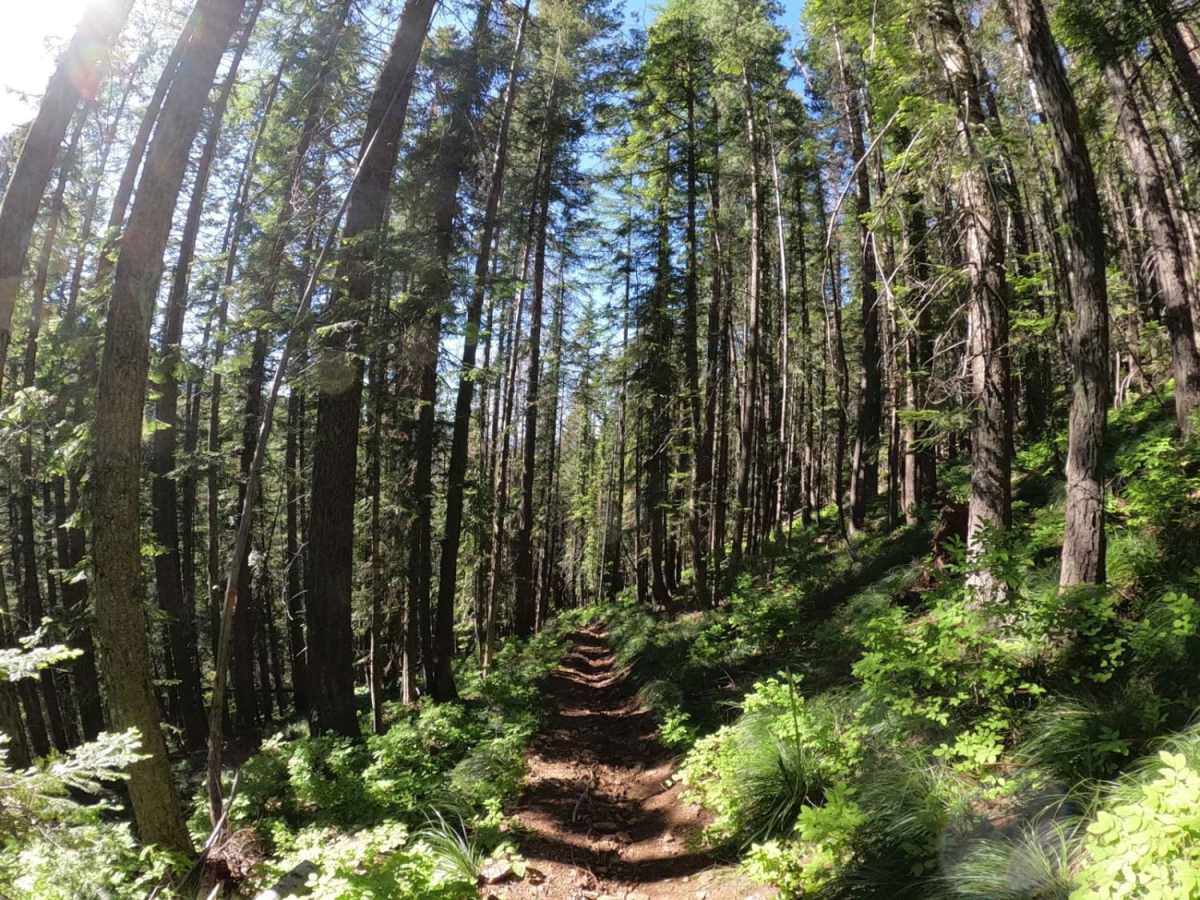 Coal Creek photo 3