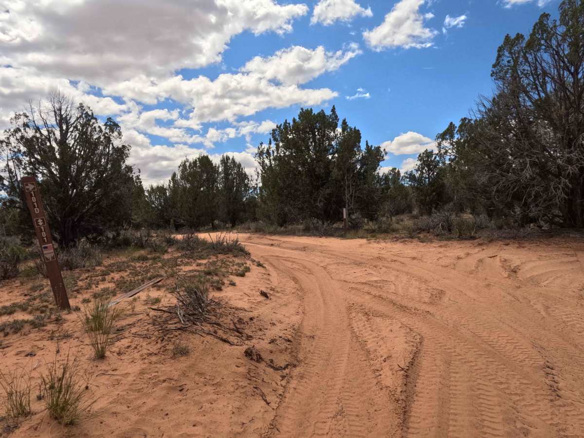 BLM 101 photo 2
