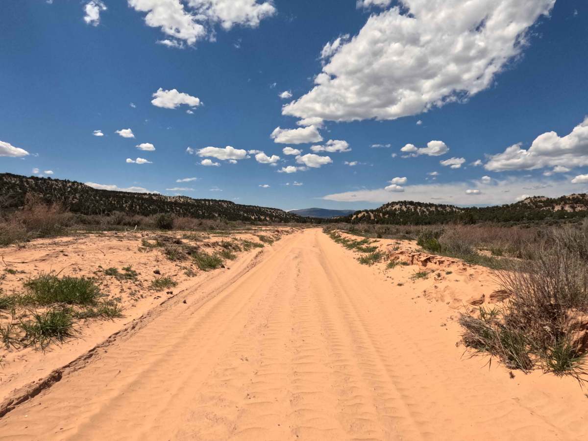 BLM 46 photo 4