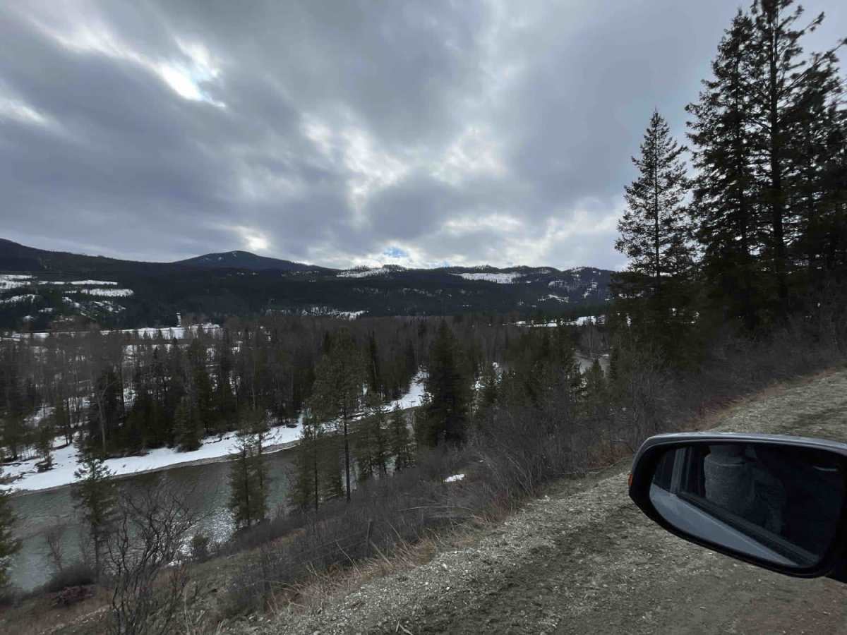 Shuswap River photo 4
