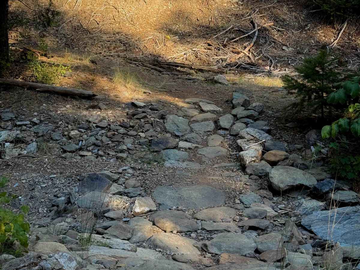 Berry Creek  photo 2