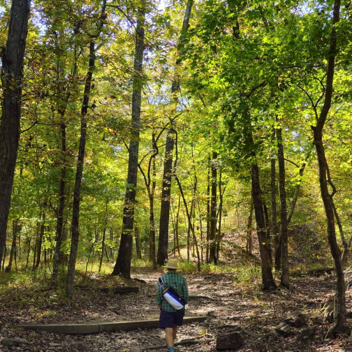 Near Butterfield Trail
