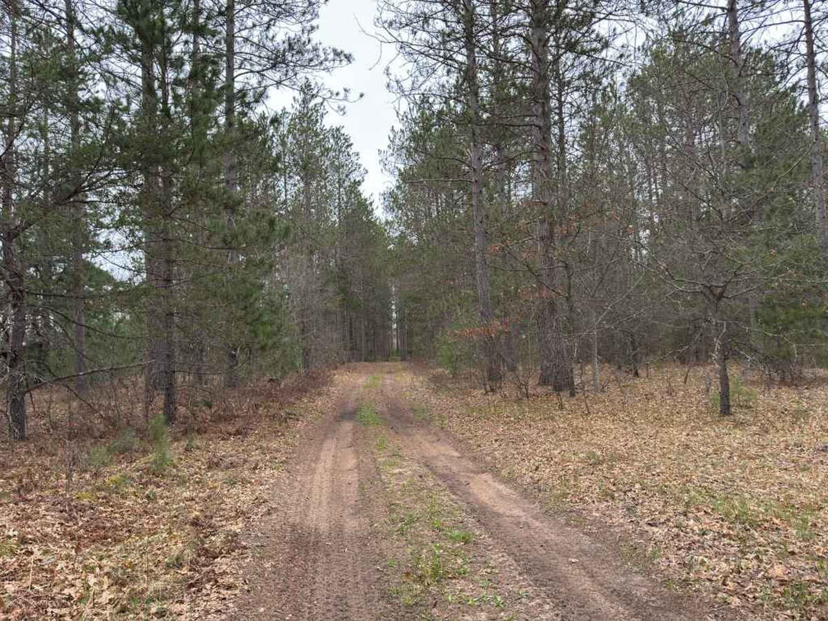Saunter Trail trail photo