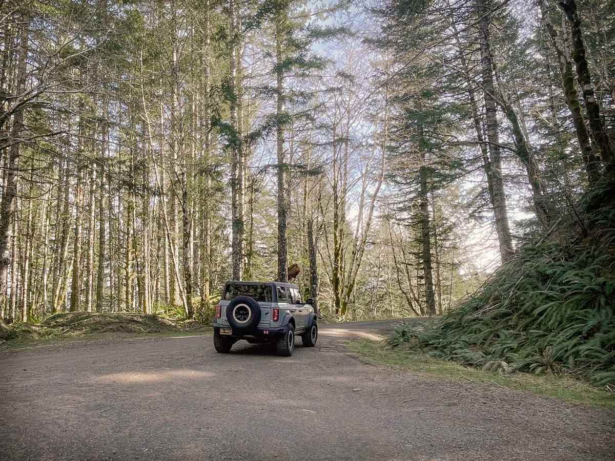 Boundary Road trail photo