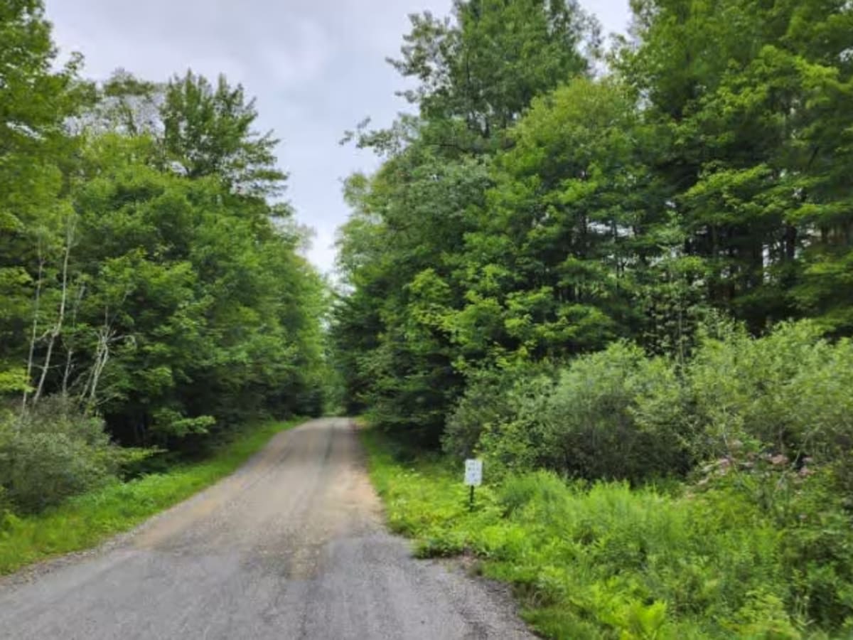 O'Hara Road photo 4