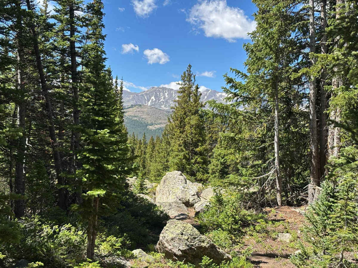 Bear Lake Road trail photo