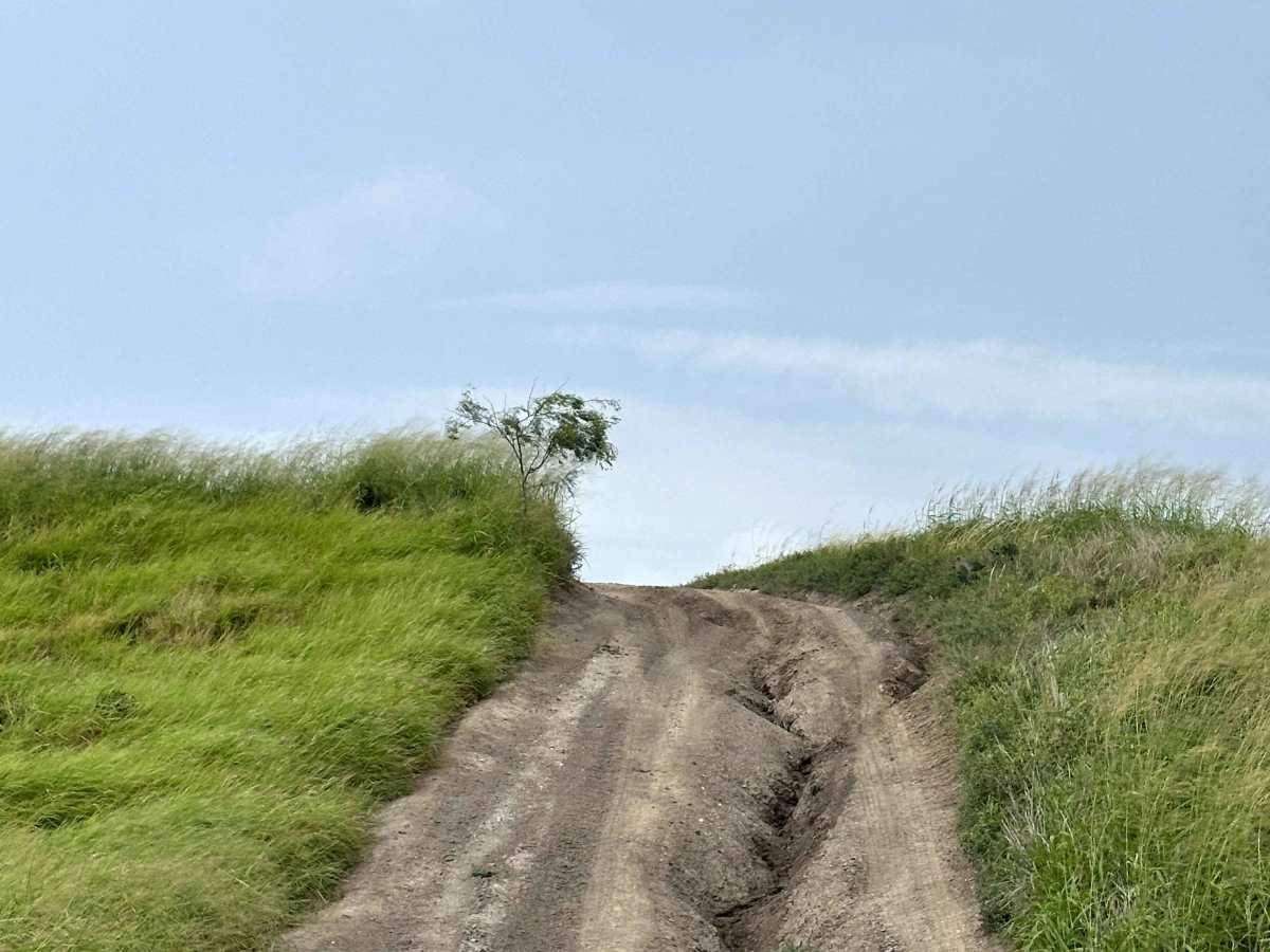 Levee Loop photo 2