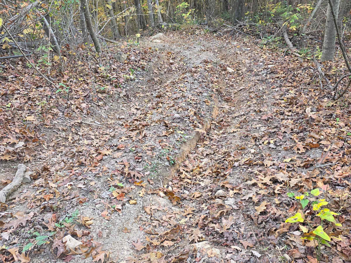 Maple Hill  photo 3