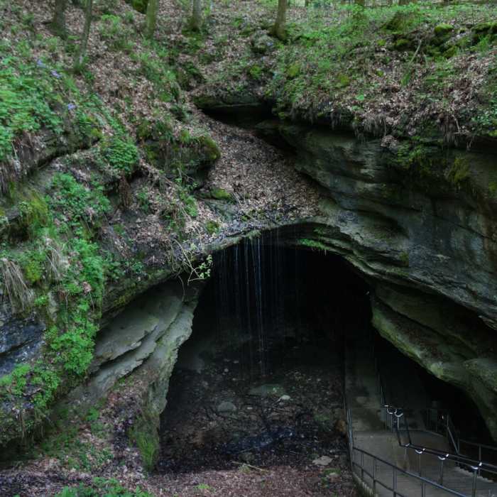 Mammoth Cave National Park Near Mammoth Cave Railroad Trail
