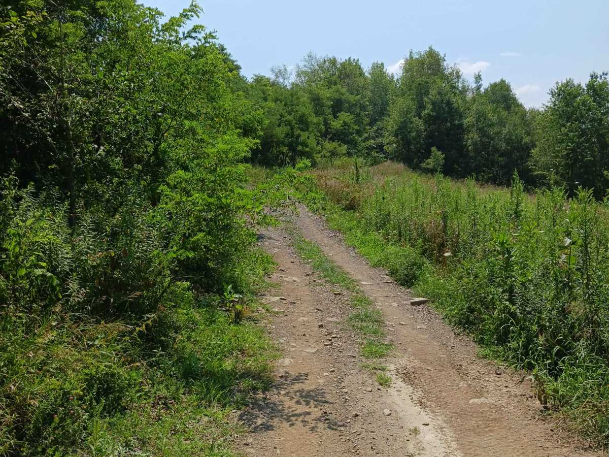 Big Buck Trail - Rock Run Recreation Area photo 4