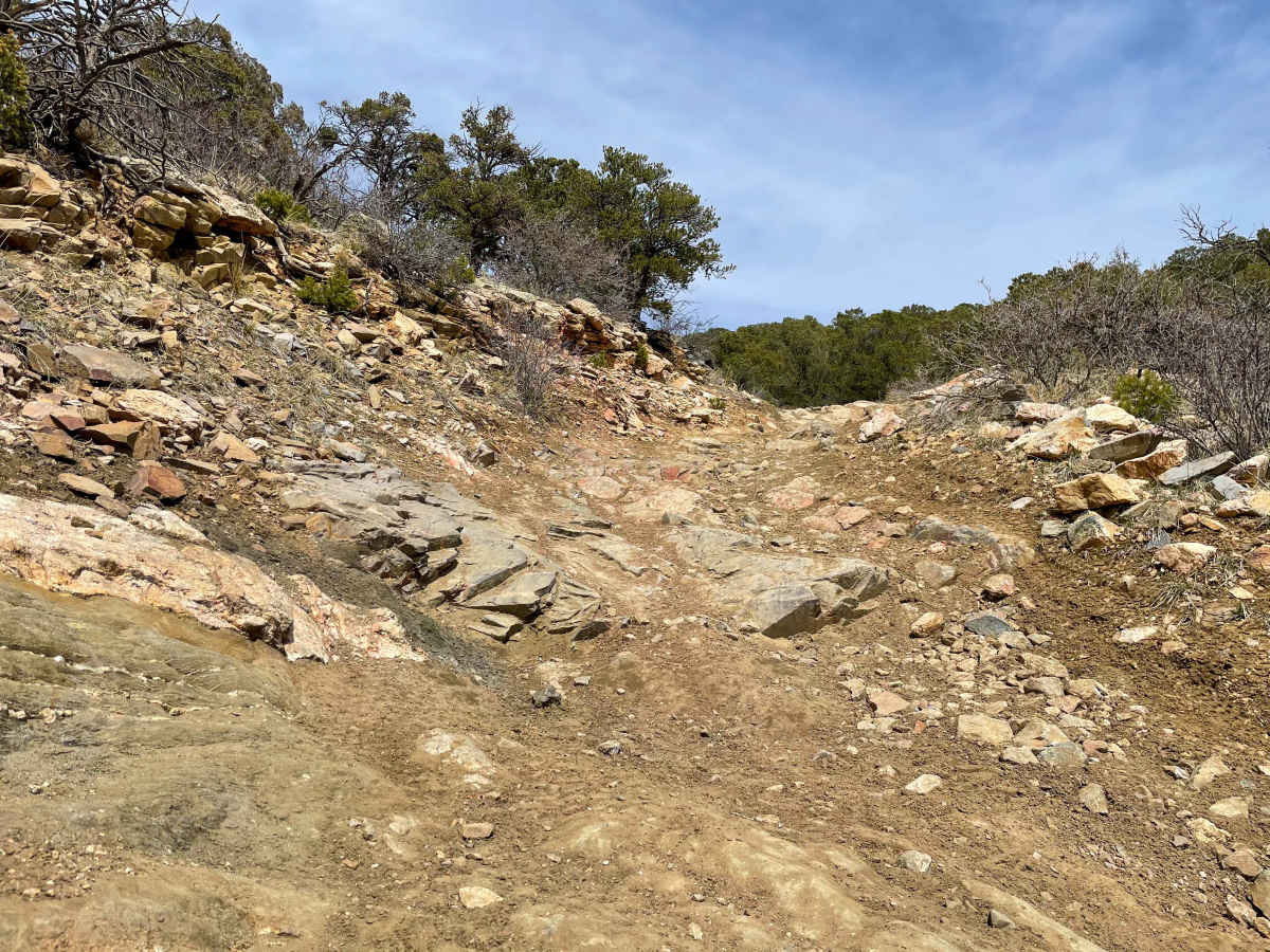 Tiger Trail photo 6