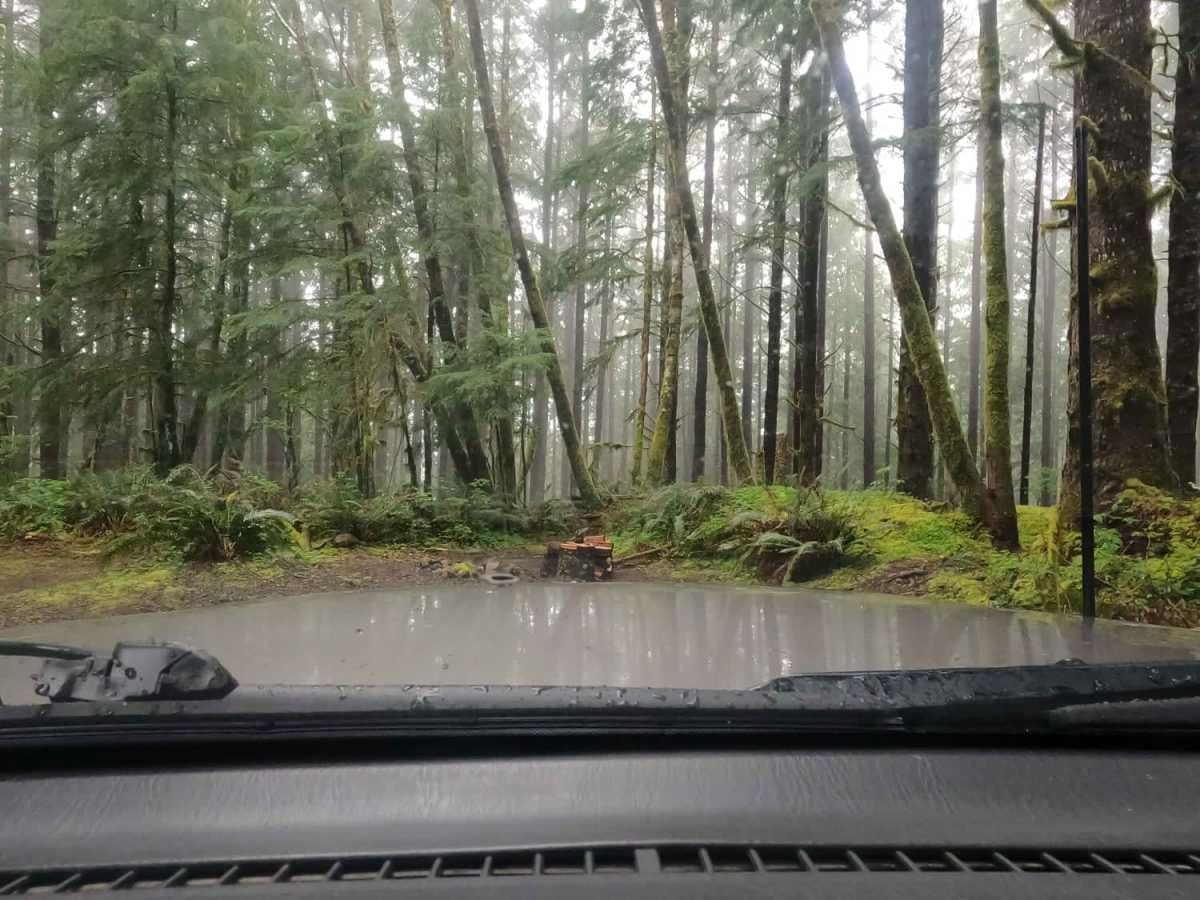 Bun Creek - NF1004 photo 6