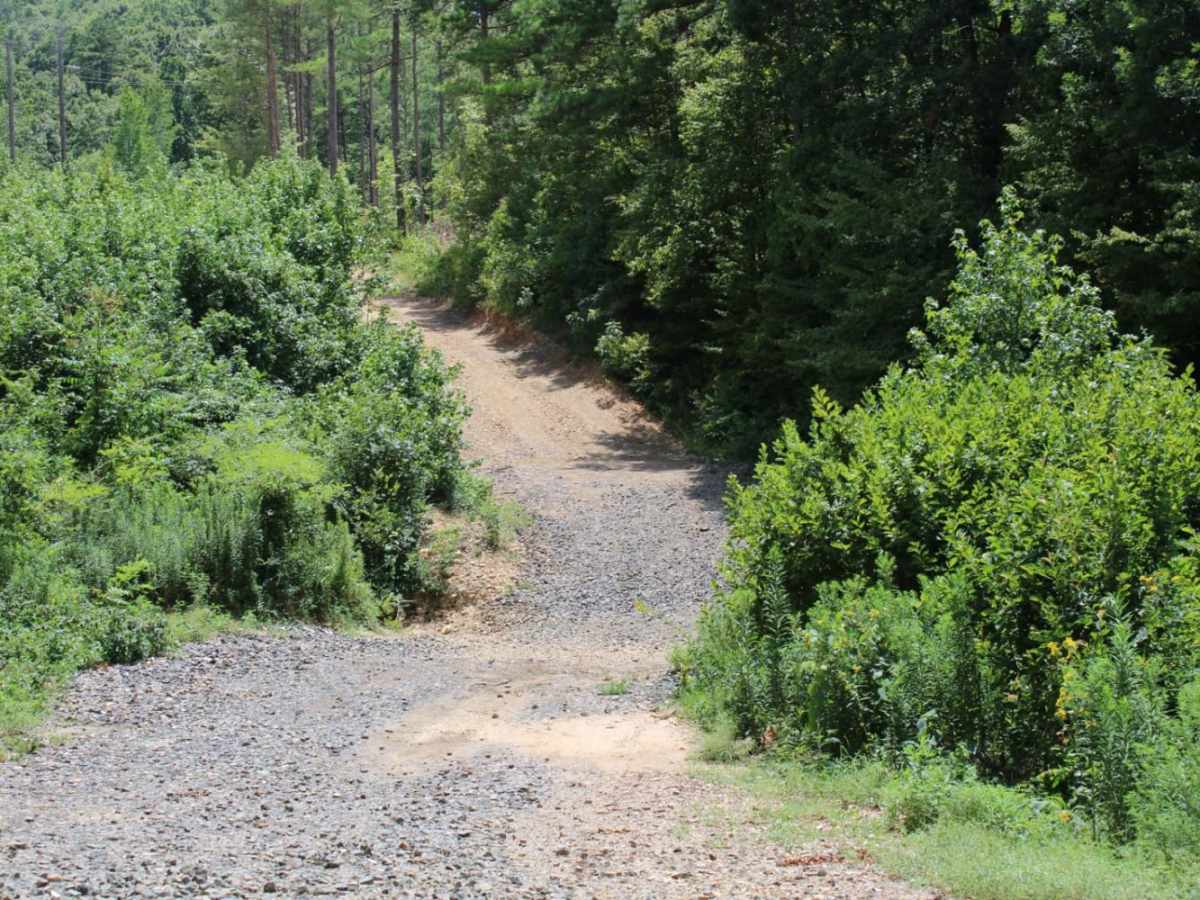 Two Mile Road photo 5