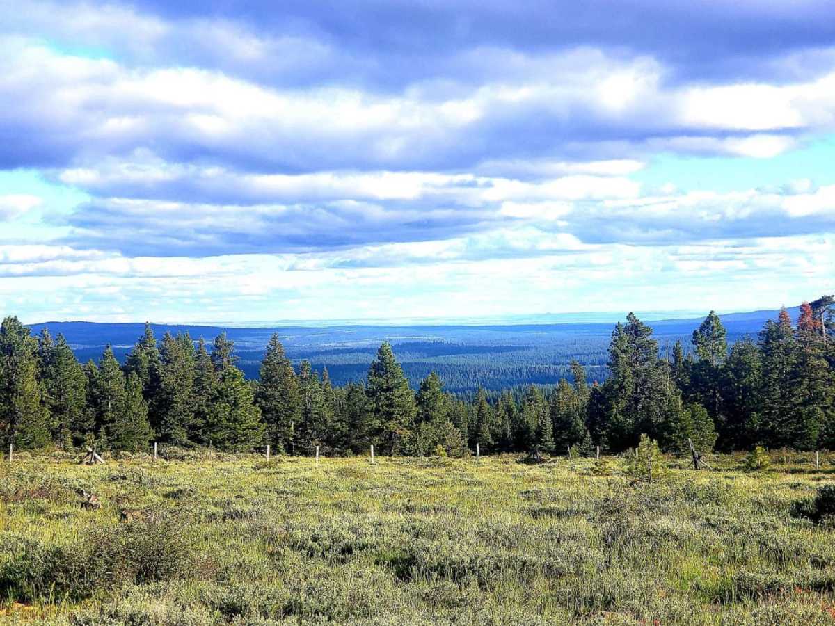 Snow Mountain Lookout photo 4