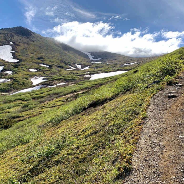 Near Wolverine Peak Near Wolverine Peak