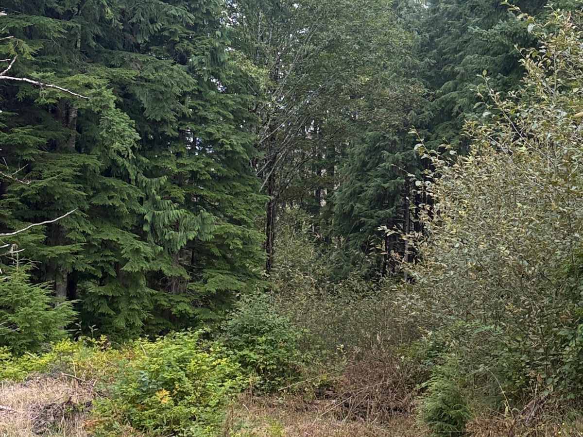 FRC 1100 trail photo