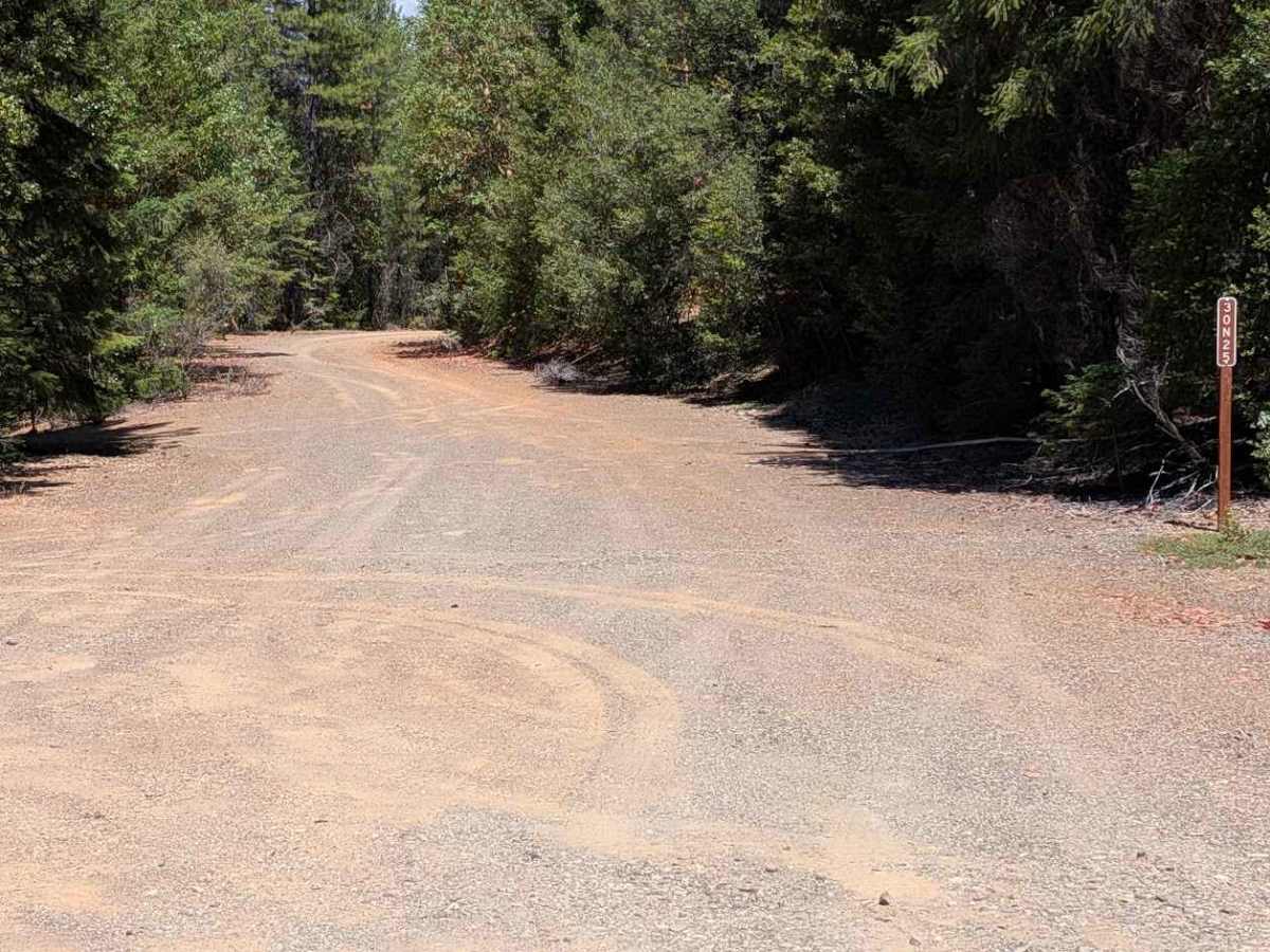 Blue Gulch Road - FS 30N25 photo 2