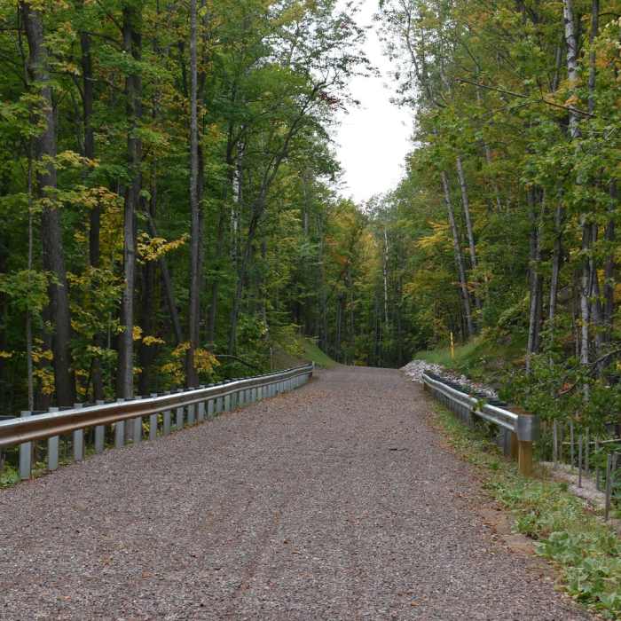 Near Morgan Falls Hike Near Morgan Falls Hike