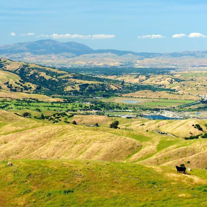 Near Peak Meadow Trail