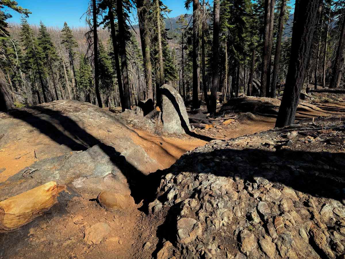 Upper Tollgate  trail photo