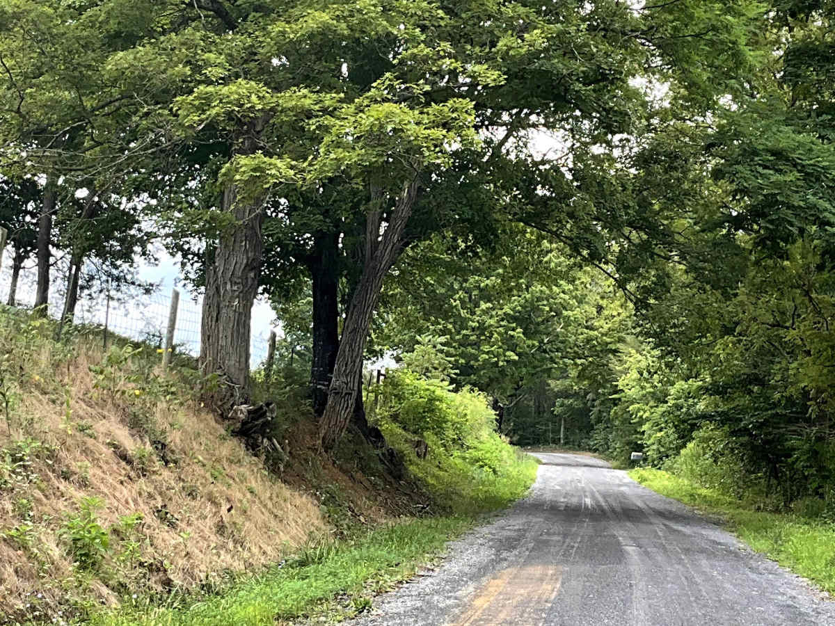 Little Dry Hollow trail photo