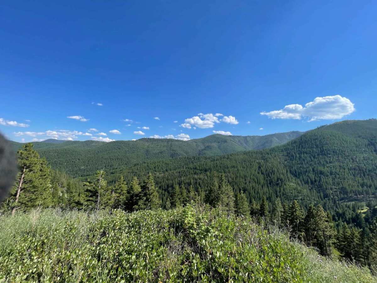 Middle Fork Schwartz trail photo