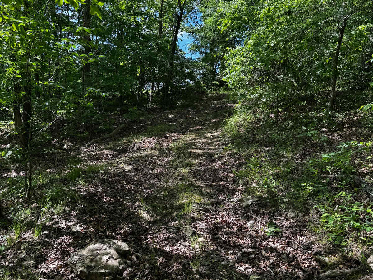 Hillside 70 photo 3