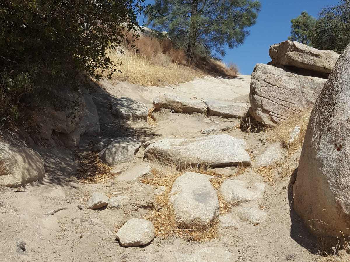 Dutch Flat Trail trail photo