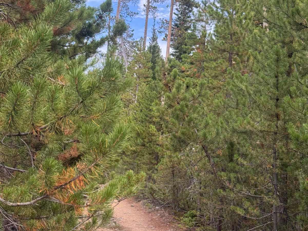 Bear Spur trail photo