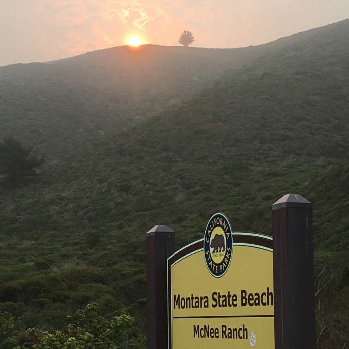 Near Gray Whale Cove Trail