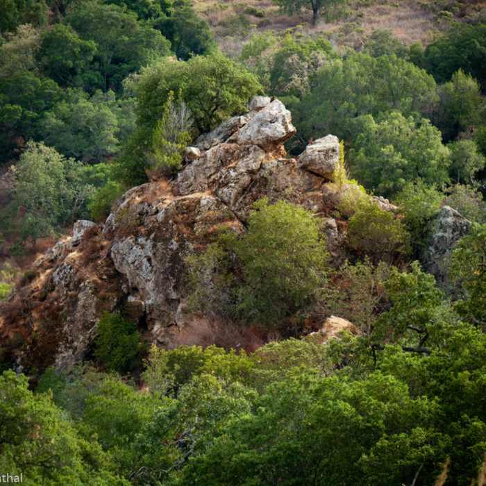 Near Todd Quick Trail