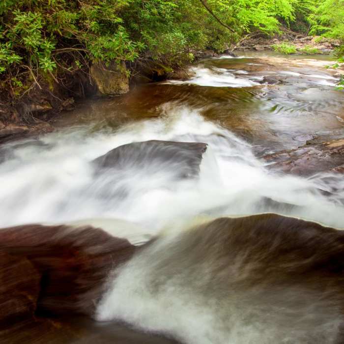 Near Manns Creek Gorge Trail
