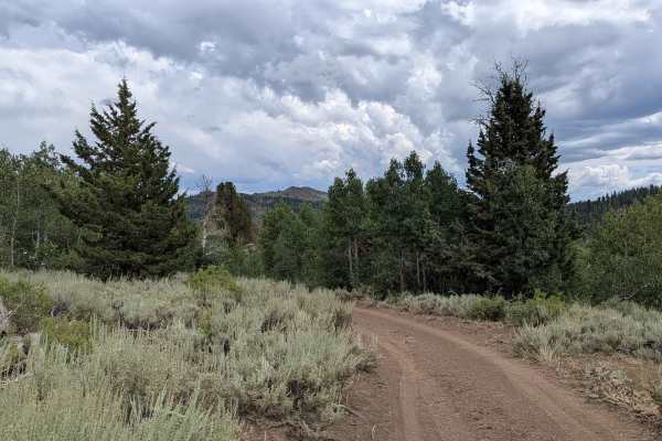 Pass Spur Road - FS 3108B