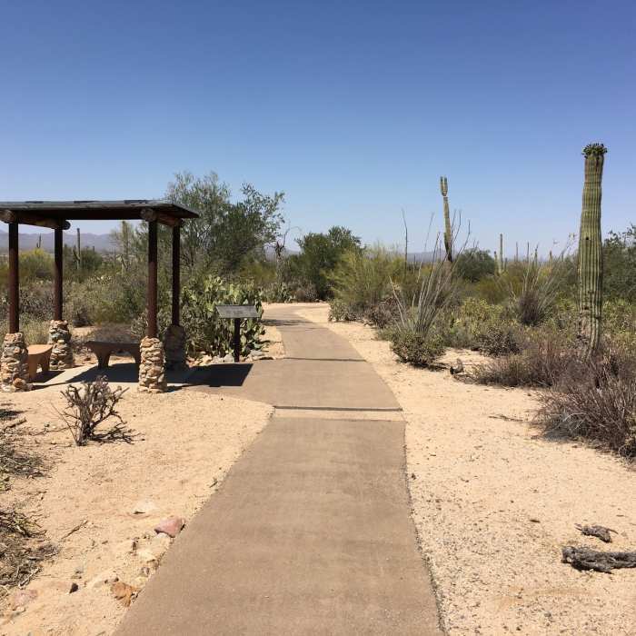 Near Desert Discovery Nature Trail