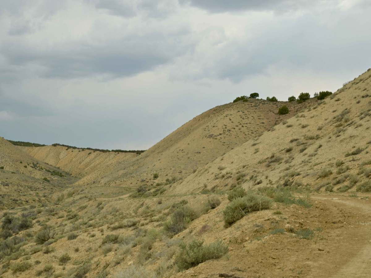 Little Valley Road photo 2