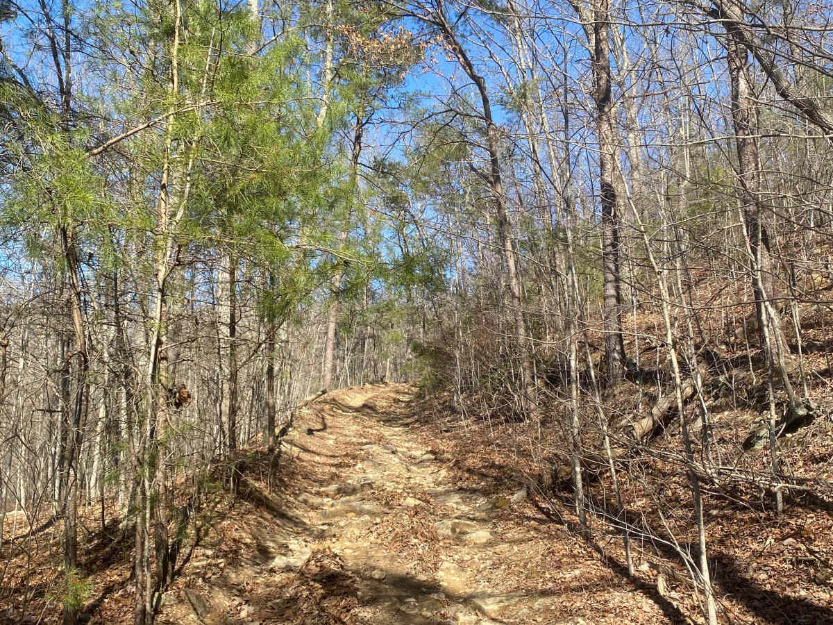 Barnes Buck Road trail photo