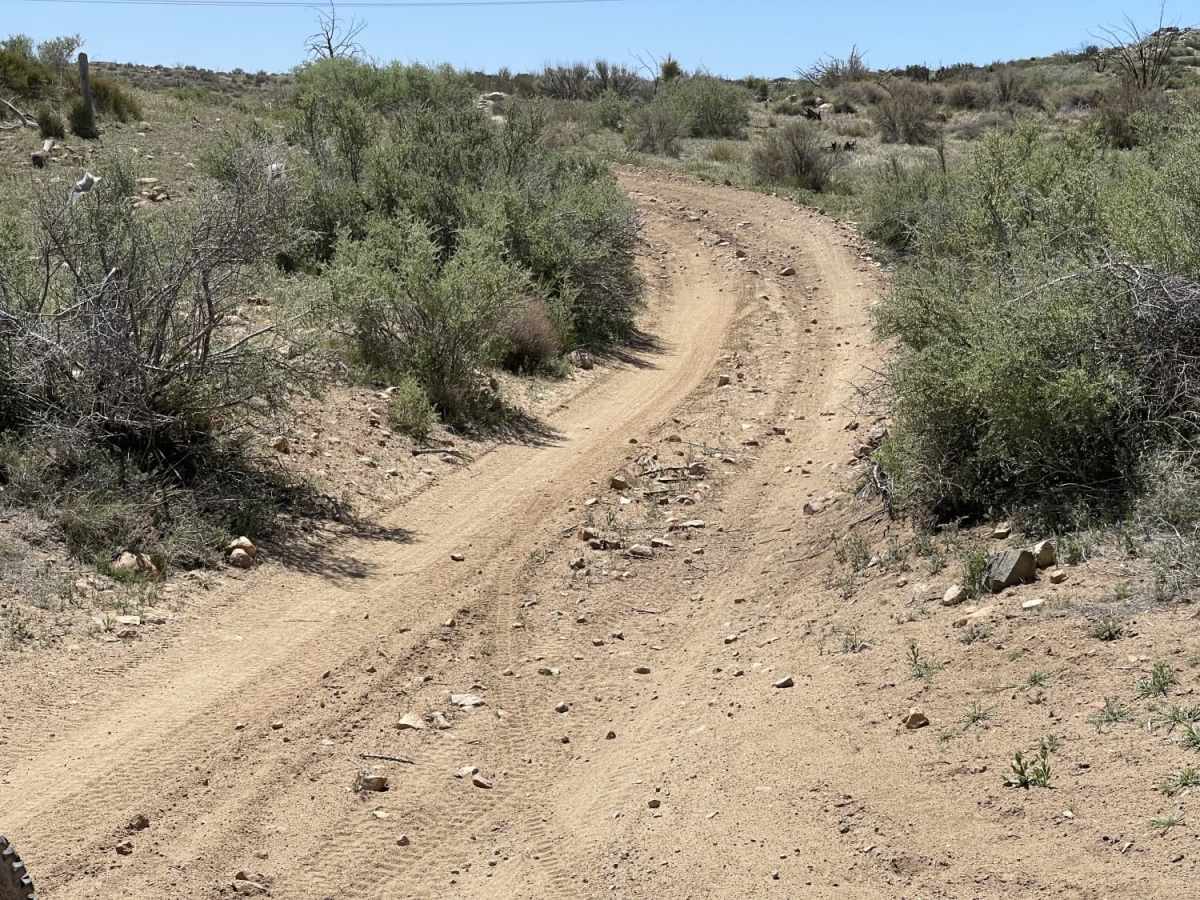 Juniper Flats Southern Access photo 6