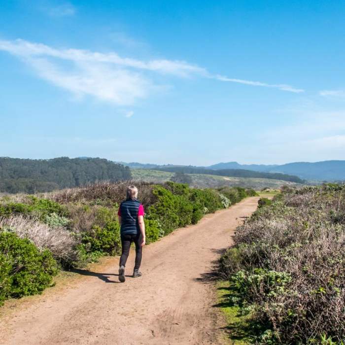 Near Pescadero Marsh Natural Preserve