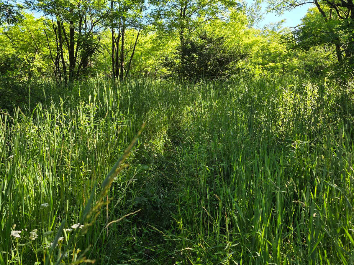 Single Track J3 photo 4