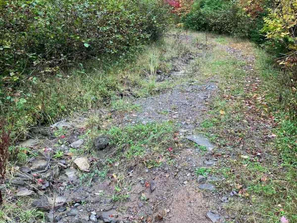 Macleod Road photo 6