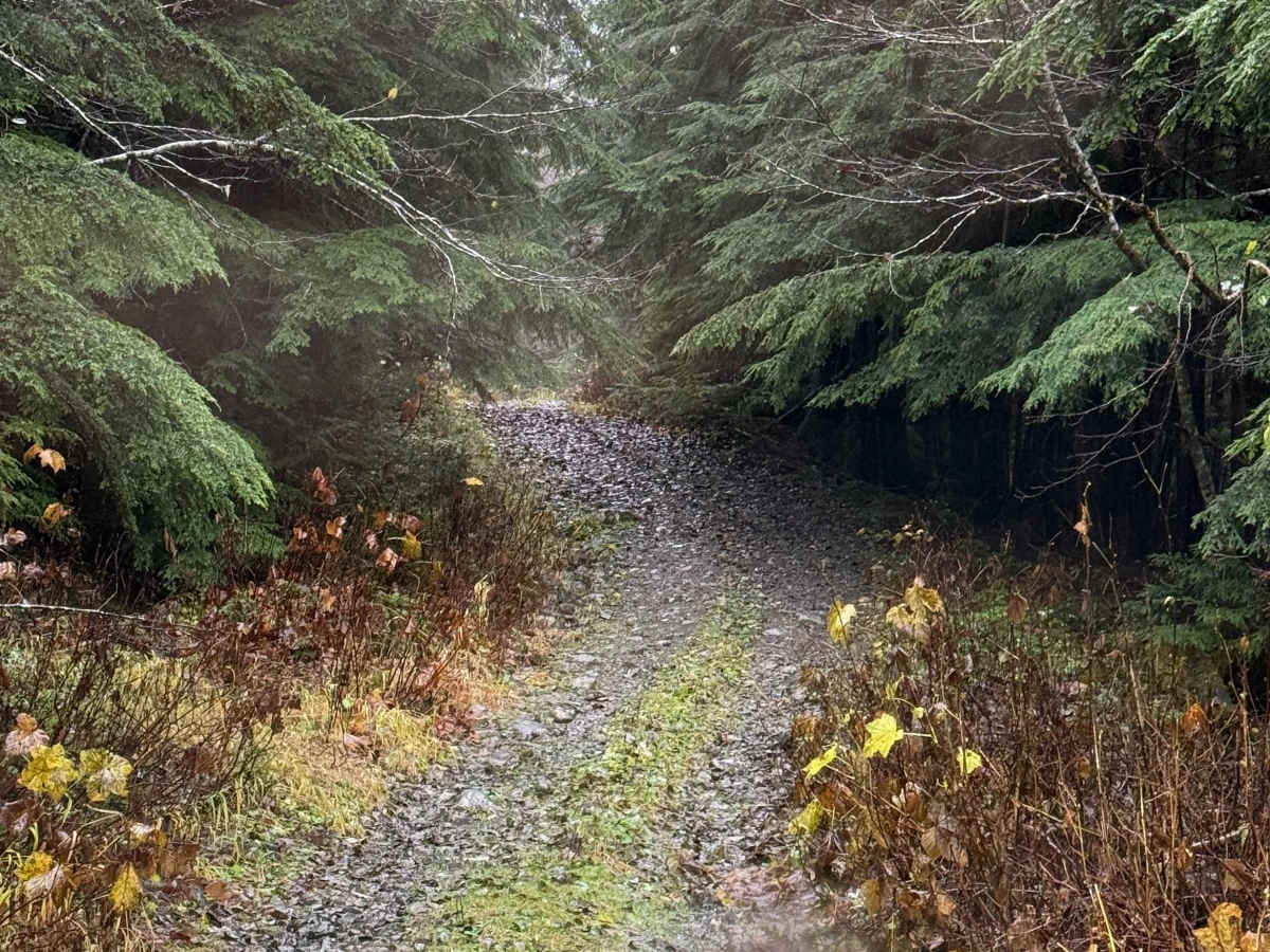 Bornite Mountain Trail photo 3
