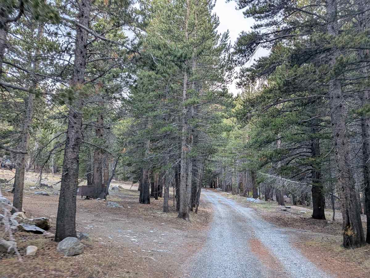 Castle Rock Road - FS 32139 photo 5