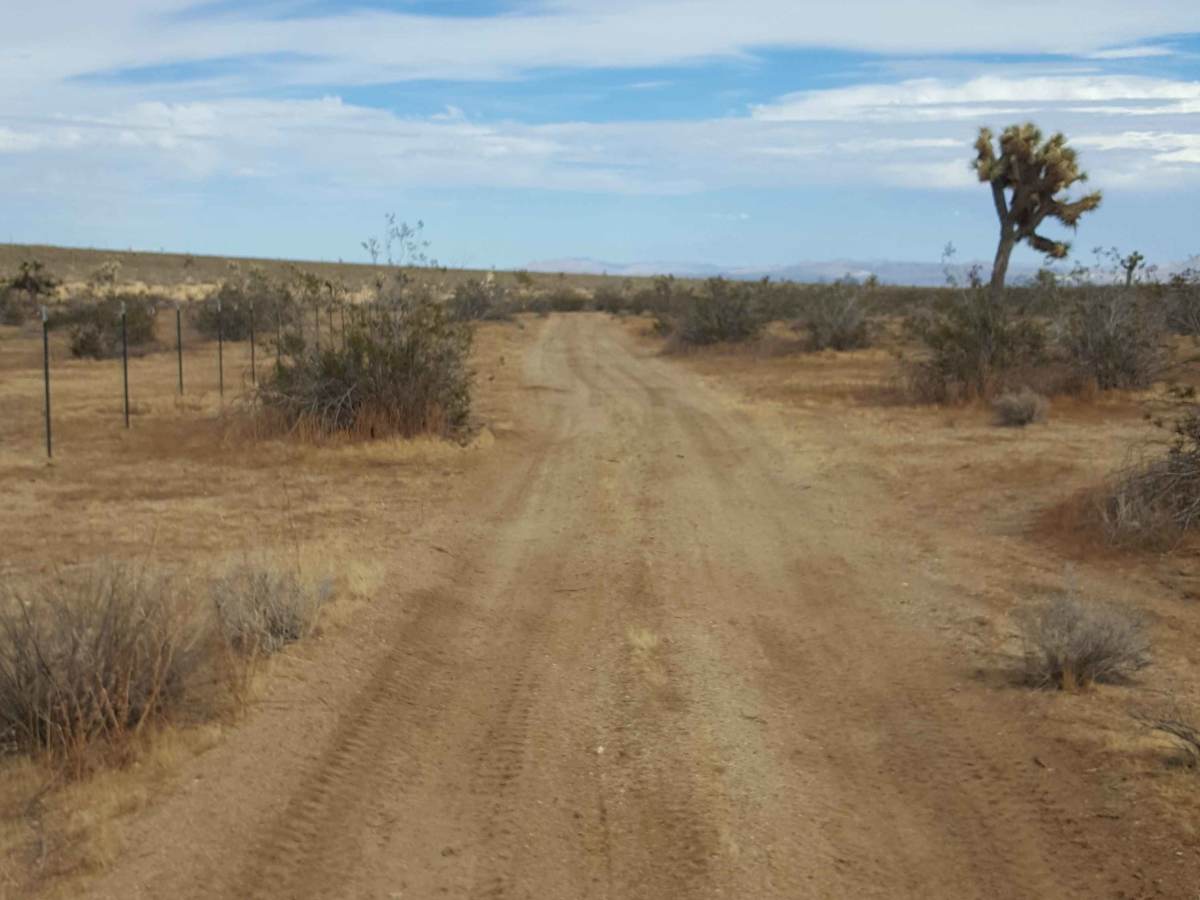 Boundary Baja trail photo