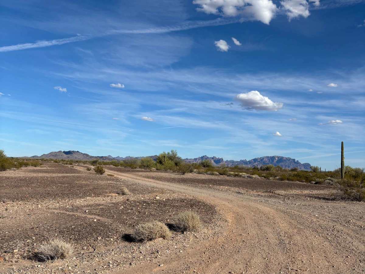 BLM 0041 photo 2