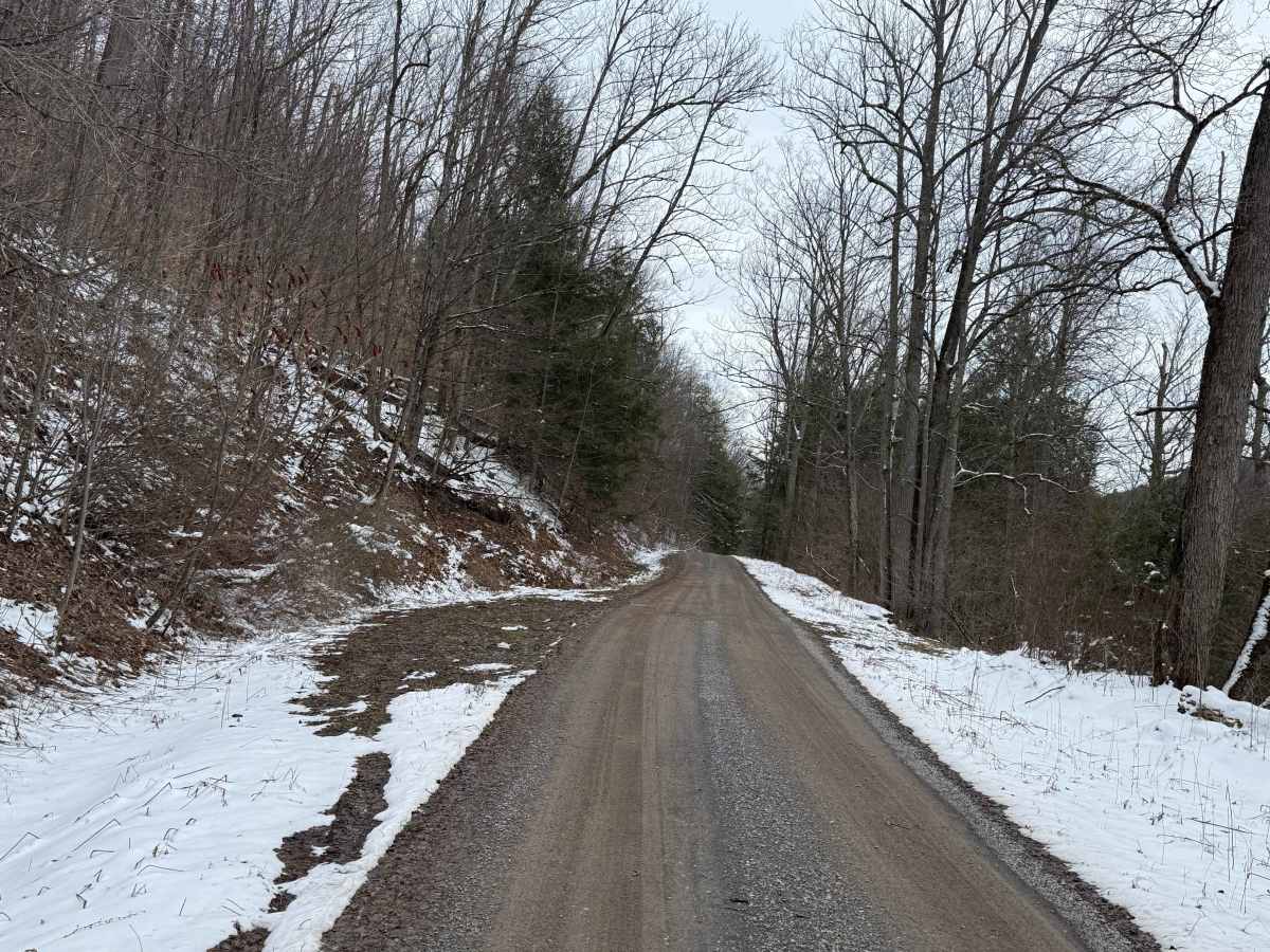 Westline - FS 122 trail photo
