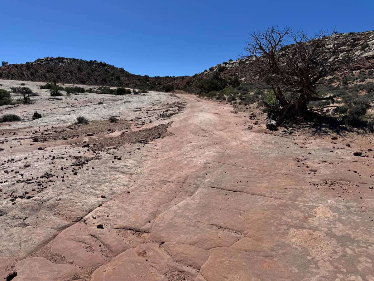 Dome Plateau Trail photo 3