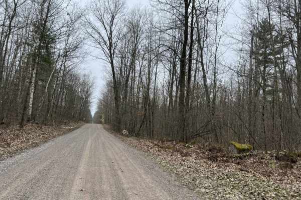Sullivan Springs Road - FS 2330