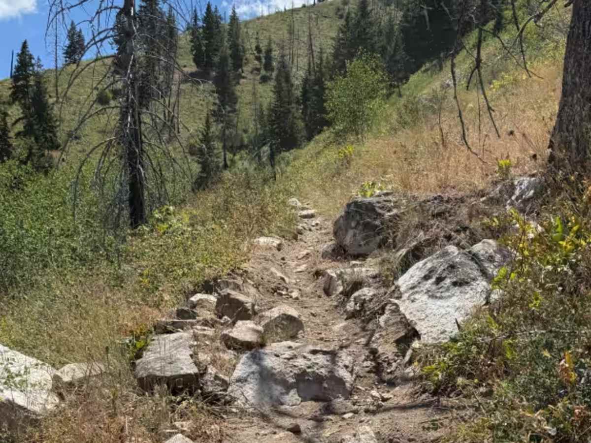 Gardner Gulch photo 2